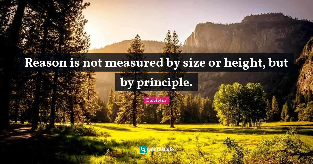 Reason is not measured by size or height, but by principle.