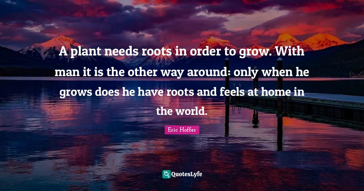 A plant needs roots in order to grow. With man it is the other way aro