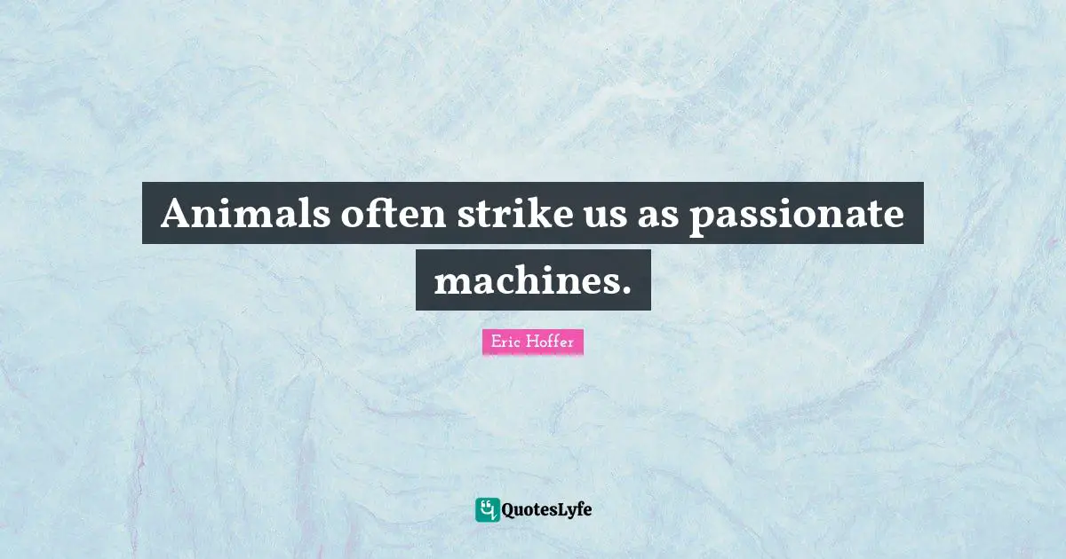 Animals often strike us as passionate machines.