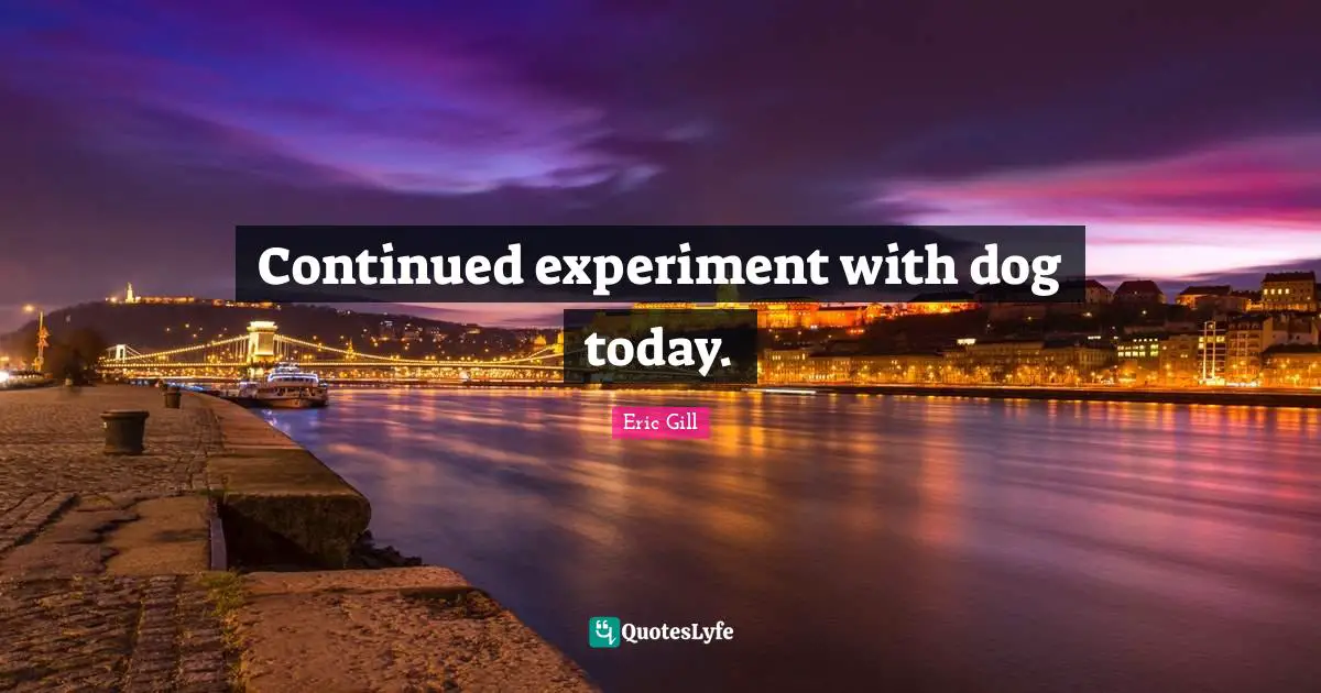 Continued experiment with dog today.