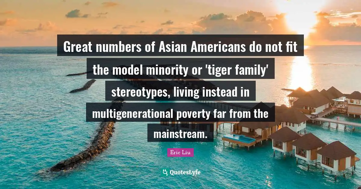 Great numbers of Asian Americans do not fit the model minority or 'tiger family' stereotypes, living instead in multigenerational poverty far from the mainstream.