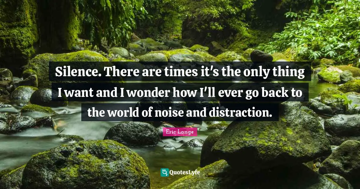 Silence. There are times it's the only thing I want and I wonder how I'll ever go back to the world of noise and distraction.