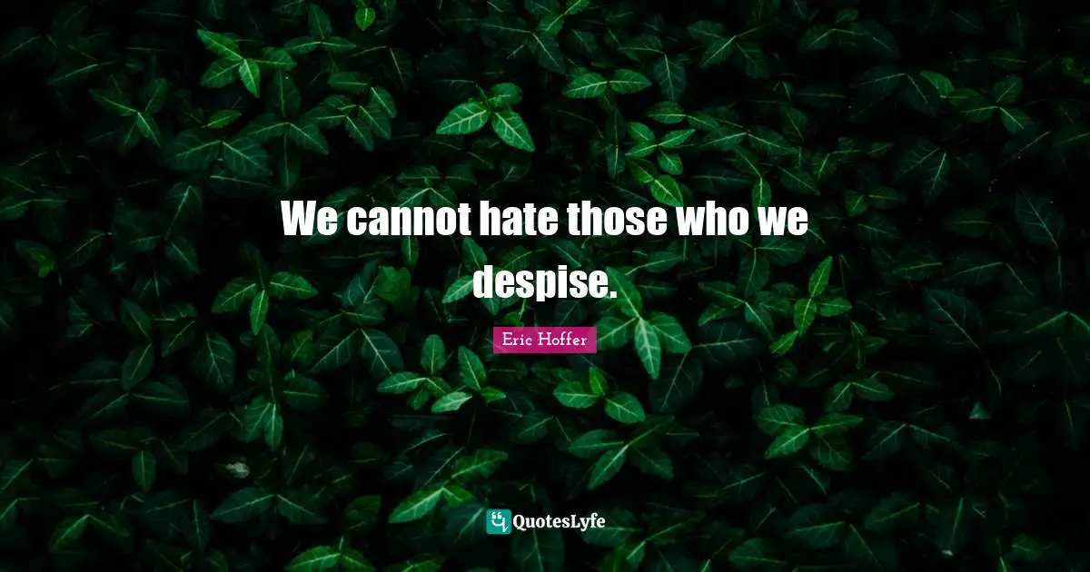 We cannot hate those who we despise.