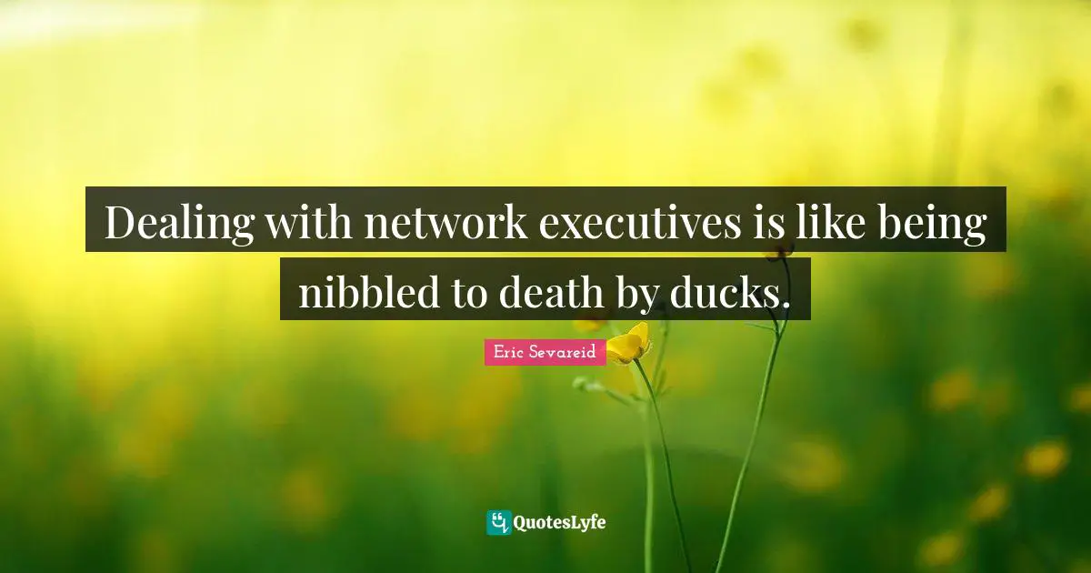 Dealing with network executives is like being nibbled to death by ducks.
