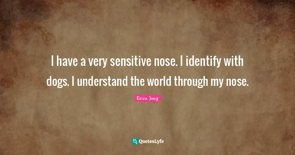 I have a very sensitive nose. I identify with dogs. I understand the world through my nose.