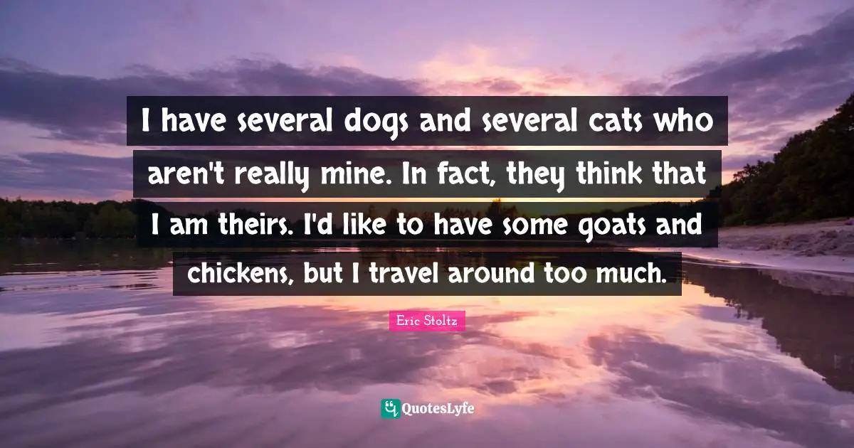 Eric Stoltz Quotes: "I have several dogs and several cats who aren't really mine. In fact, they think that I am theirs. I'd like to have some goats and chickens, but I travel around too much."