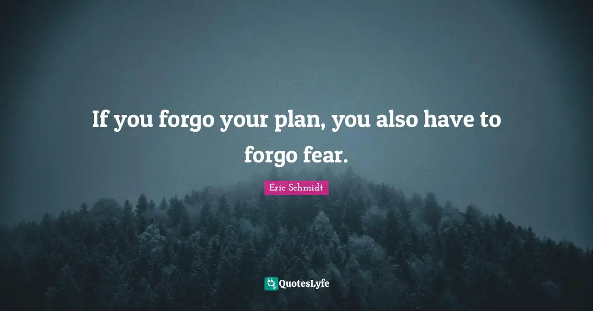 Eric Schmidt Quotes: "If you forgo your plan, you also have to forgo fear."