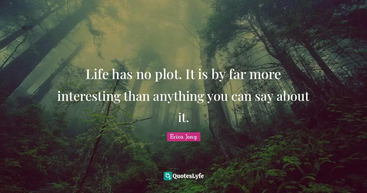 Life has no plot. It is by far more interesting than anything you can say about it.