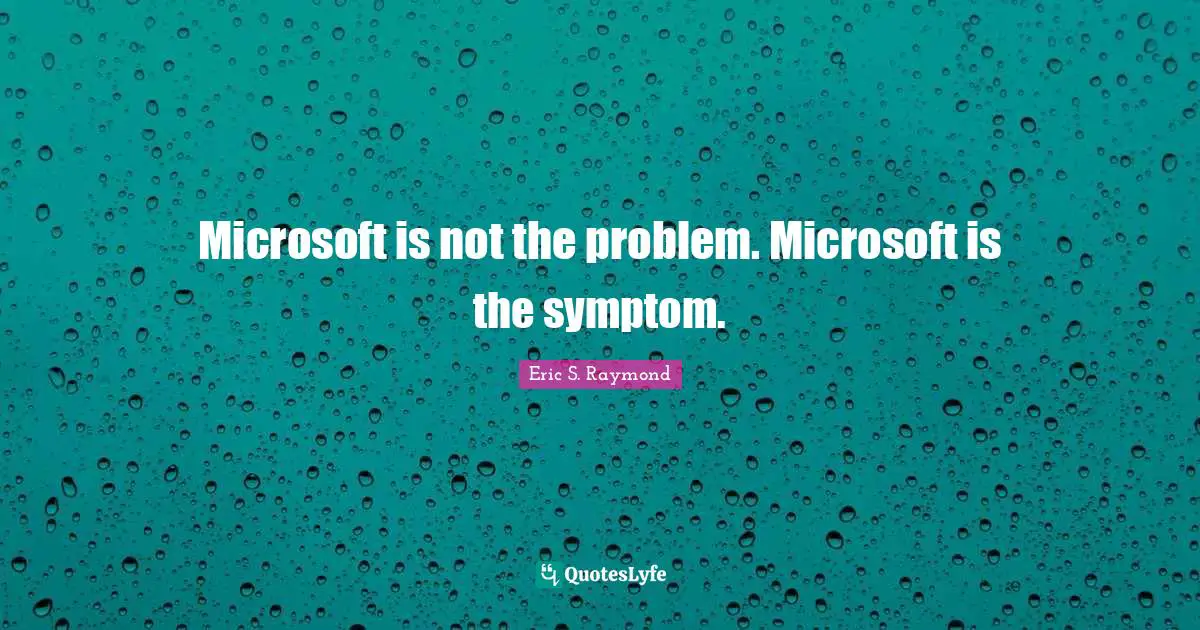 Microsoft is not the problem. Microsoft is the symptom.