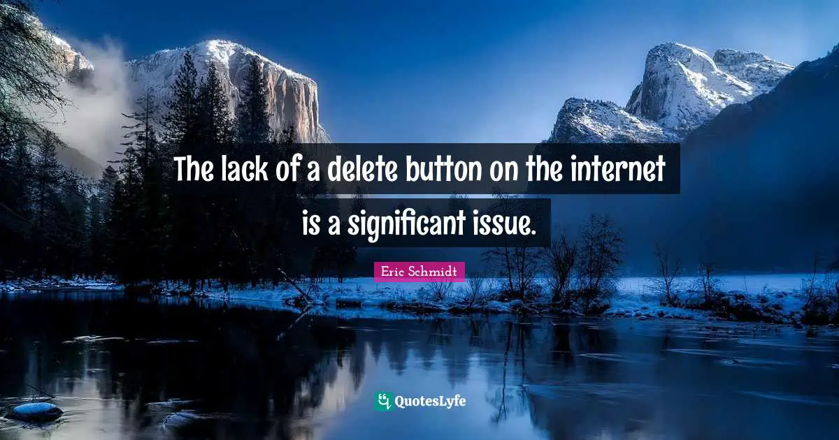 Eric Schmidt Quotes: "The lack of a delete button on the internet is a significant issue."