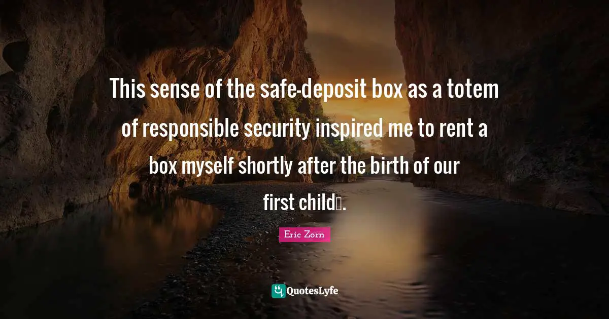 This sense of the safe-deposit box as a totem of responsible security inspired me to rent a box myself shortly after the birth of our first child….