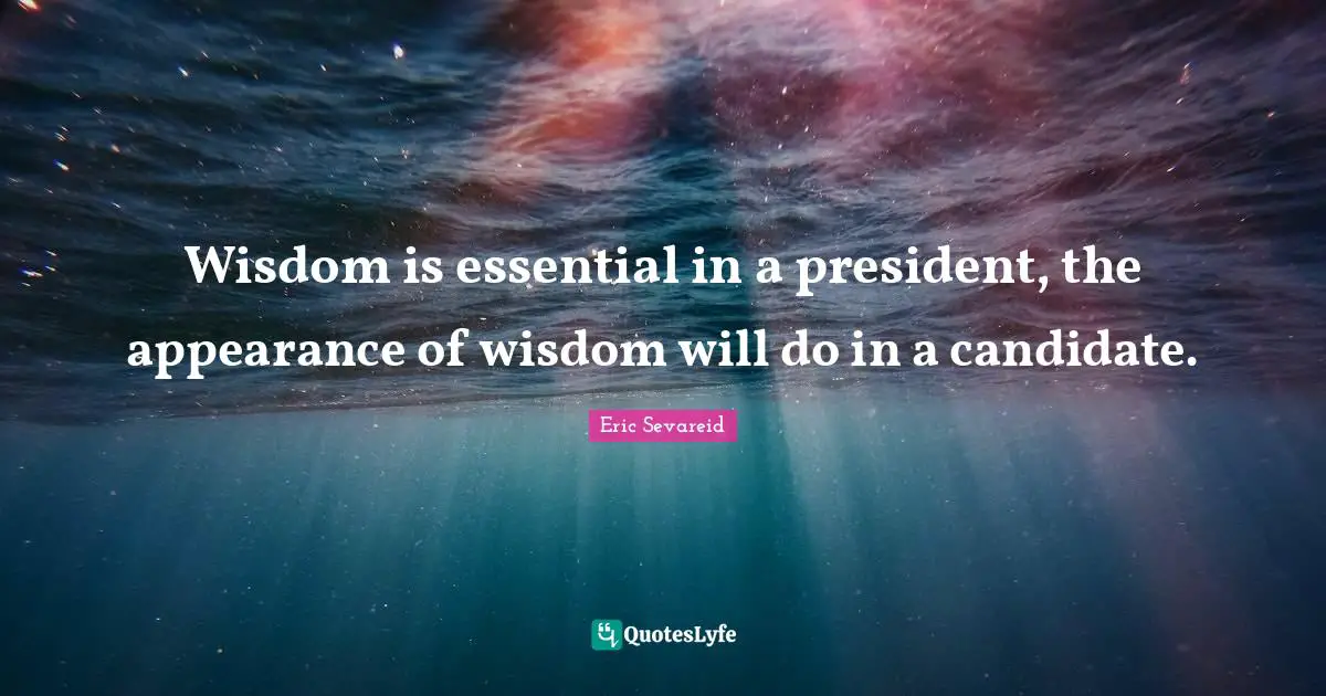 Wisdom is essential in a president, the appearance of wisdom will do in a candidate.