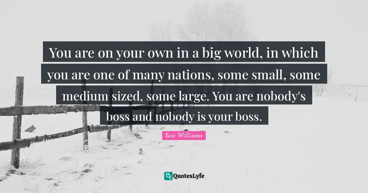 You are on your own in a big world, in which you are one of many nations, some small, some medium sized, some large. You are nobody's boss and nobody is your boss.