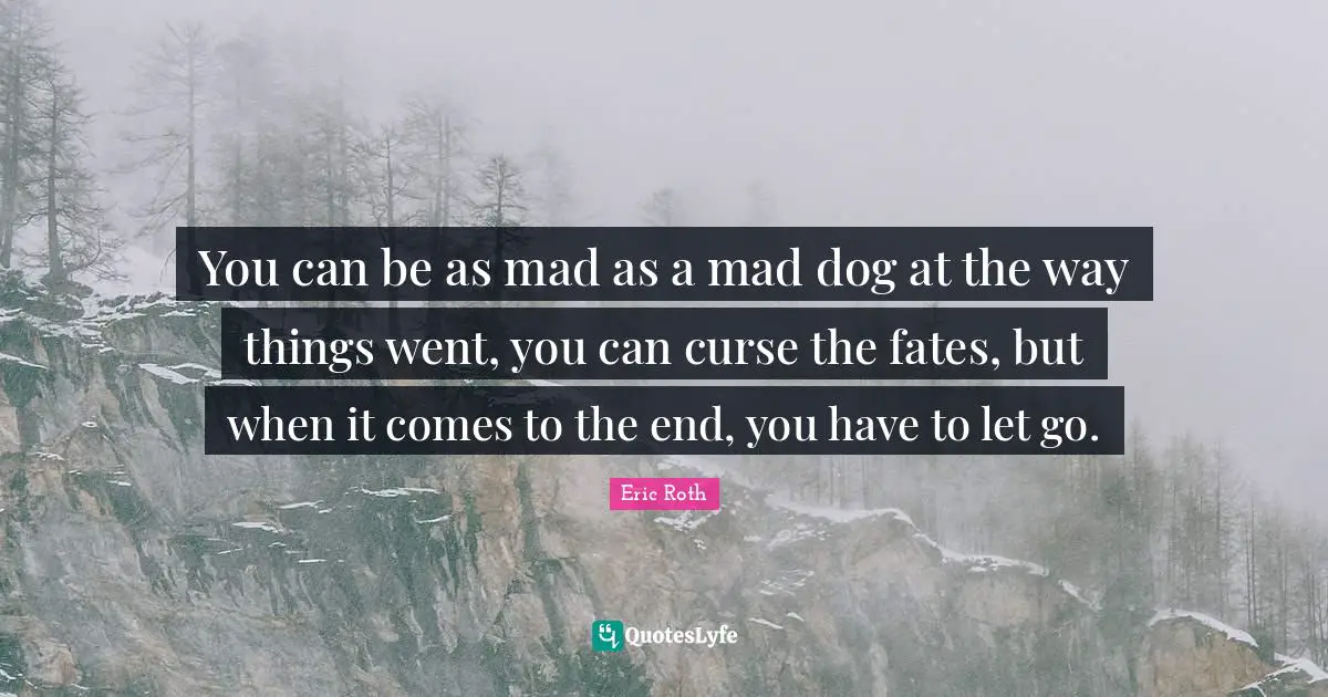 You can be as mad as a mad dog at the way things went, you can curse the fates, but when it comes to the end, you have to let go.