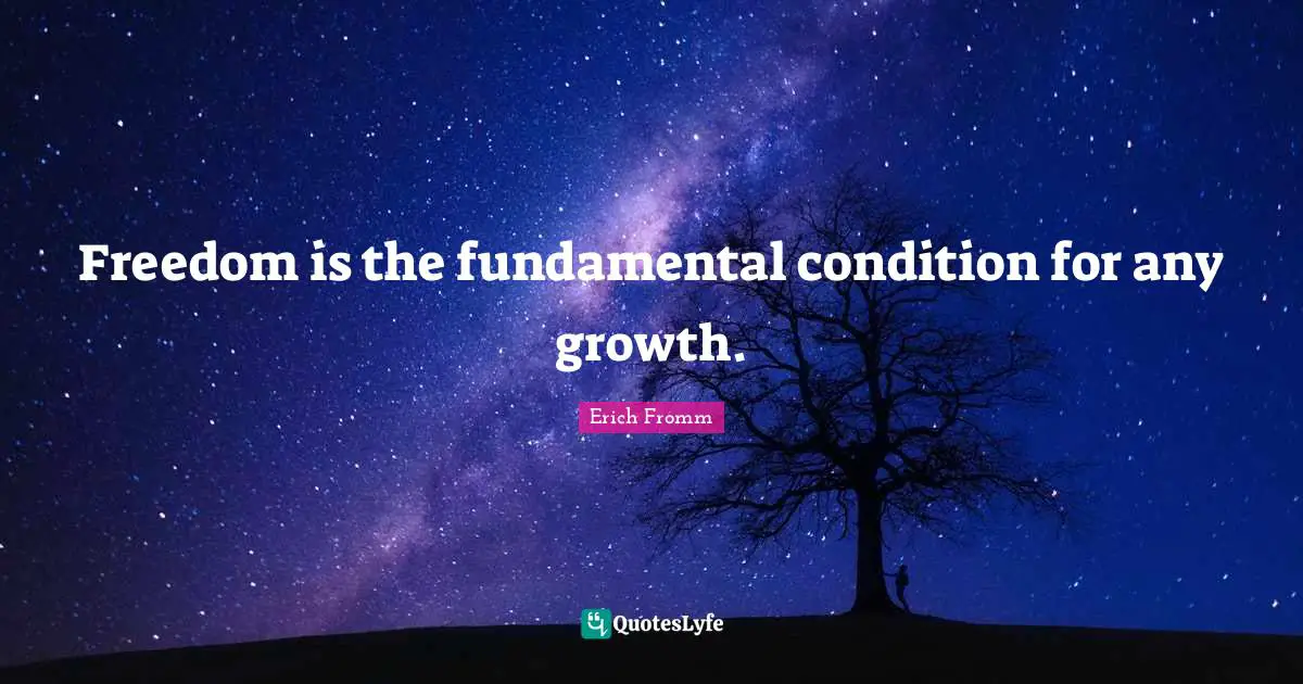 Freedom is the fundamental condition for any growth.