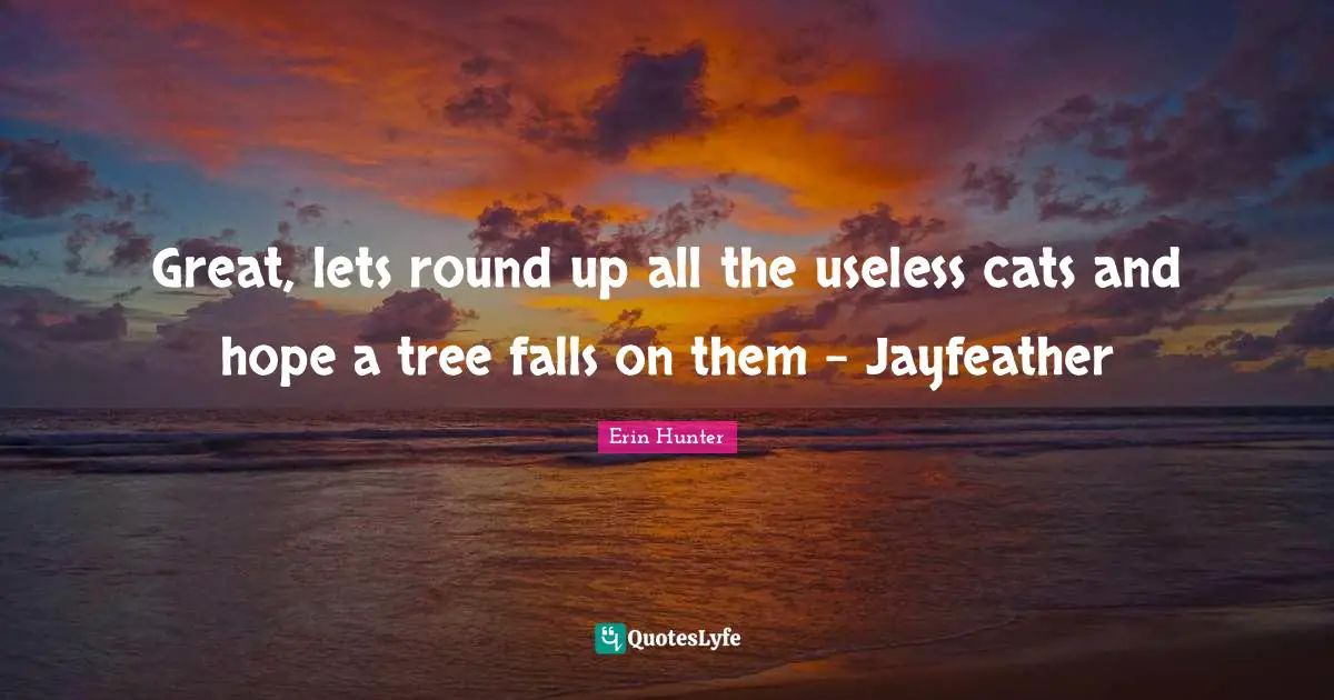 Great, lets round up all the useless cats and hope a tree falls on them - Jayfeather