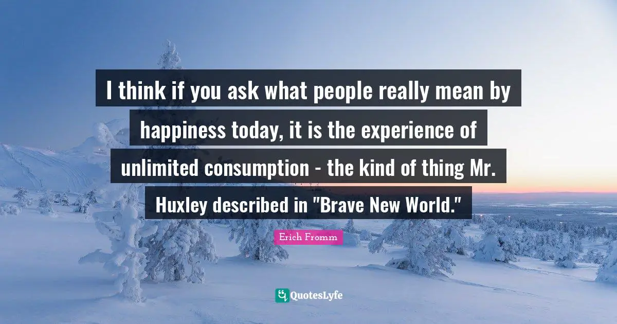 I think if you ask what people really mean by happiness today, it is the experience of unlimited consumption - the kind of thing Mr. Huxley described in "Brave New World."