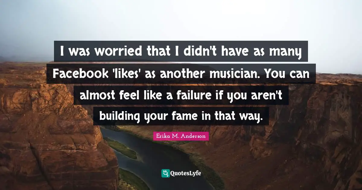 I was worried that I didn't have as many Facebook 'likes' as another musician. You can almost feel like a failure if you aren't building your fame in that way.