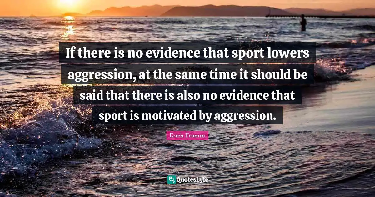 If there is no evidence that sport lowers aggression, at the same time it should be said that there is also no evidence that sport is motivated by aggression.