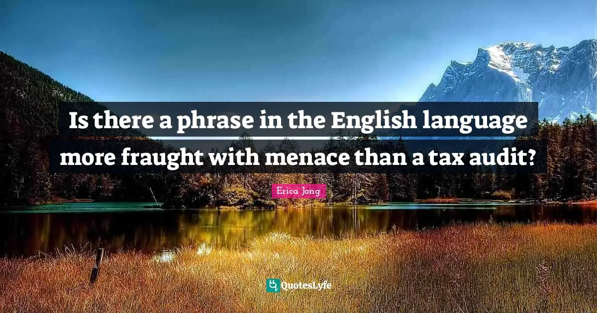 Is there a phrase in the English language more fraught with menace than a tax audit?
