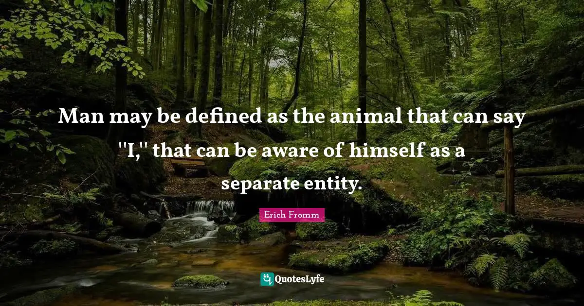 Entity Quotes: "Man may be defined as the animal that can say ''I,'' that can be aware of himself as a separate entity."