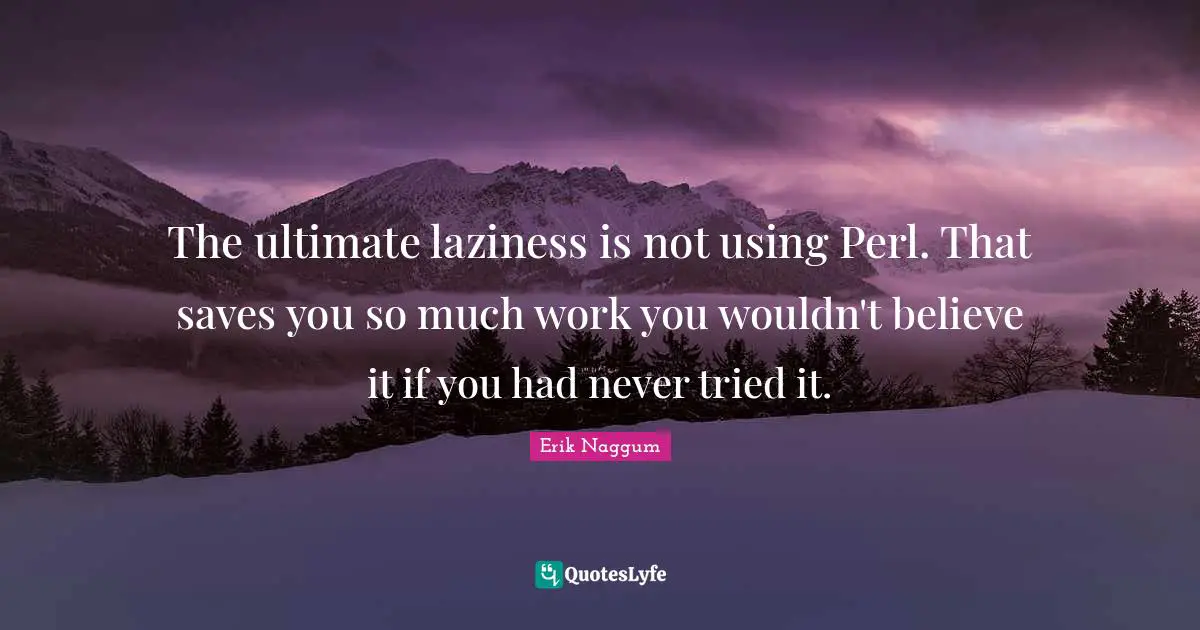 Perl Quotes: "The ultimate laziness is not using Perl. That saves you so much work you wouldn't believe it if you had never tried it."