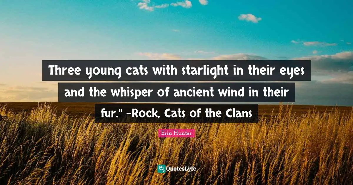 Three young cats with starlight in their eyes and the whisper of ancient wind in their fur." -Rock, Cats of the Clans
