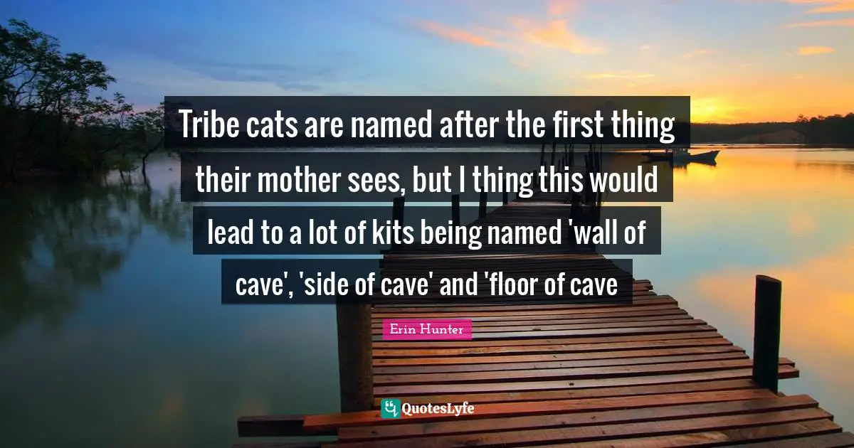 Tribe cats are named after the first thing their mother sees, but I thing this would lead to a lot of kits being named 'wall of cave', 'side of cave' and 'floor of cave