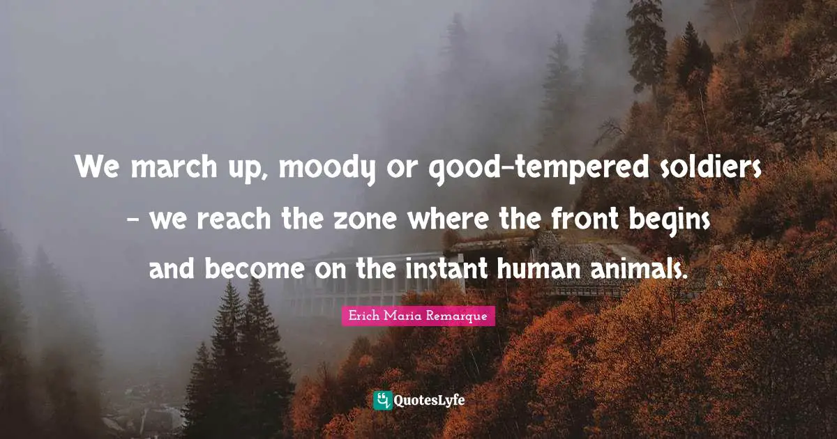 We march up, moody or good-tempered soldiers - we reach the zone where the front begins and become on the instant human animals.