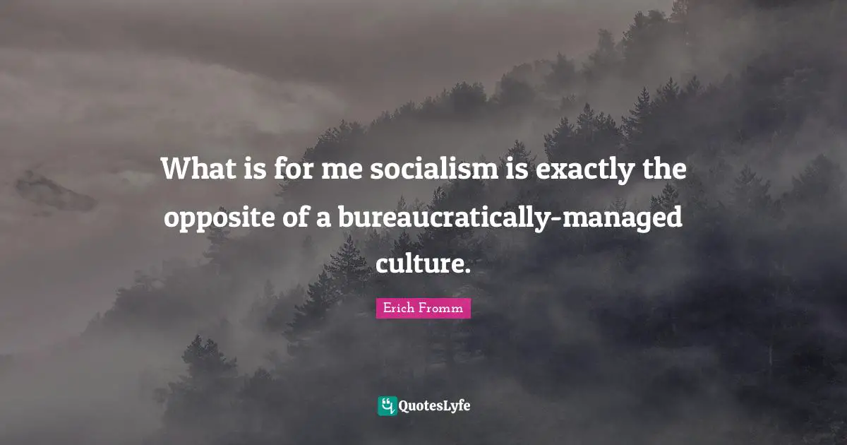What is for me socialism is exactly the opposite of a bureaucratically-managed culture.