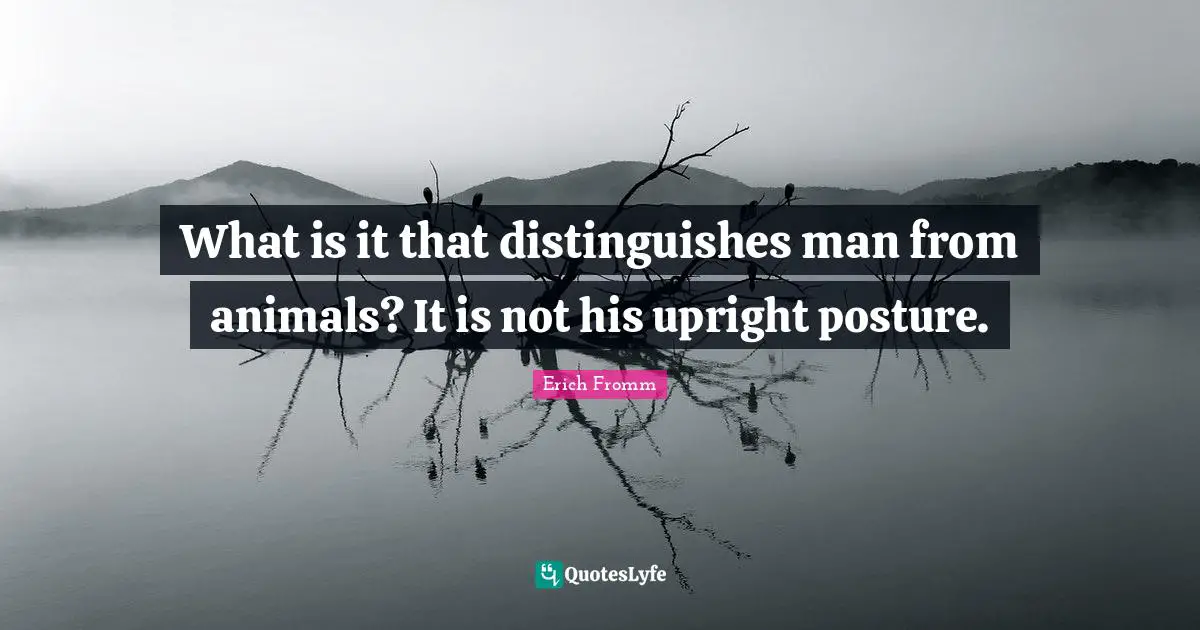 What is it that distinguishes man from animals? It is not his upright posture.