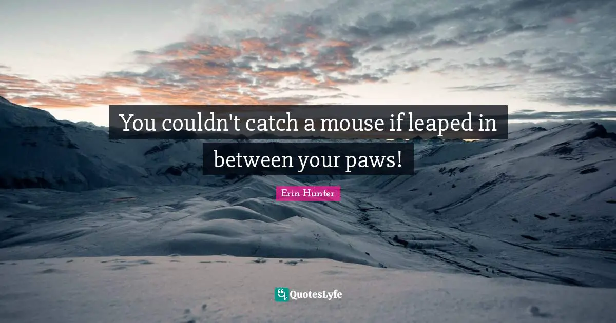 You couldn't catch a mouse if leaped in between your paws!
