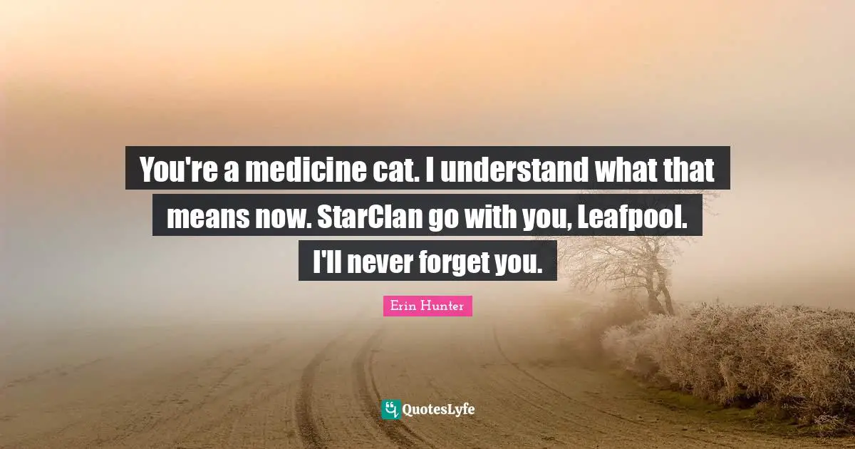 Never Forget Quotes: "You're a medicine cat. I understand what that means now. StarClan go with you, Leafpool. I'll never forget you."