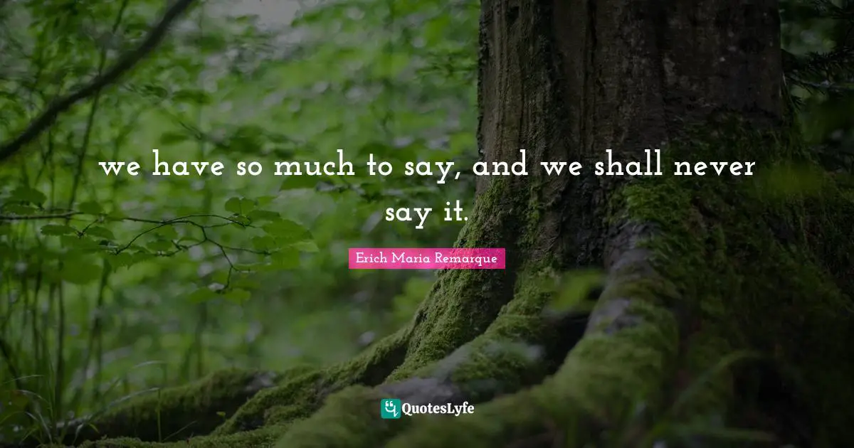 we have so much to say, and we shall never say it.