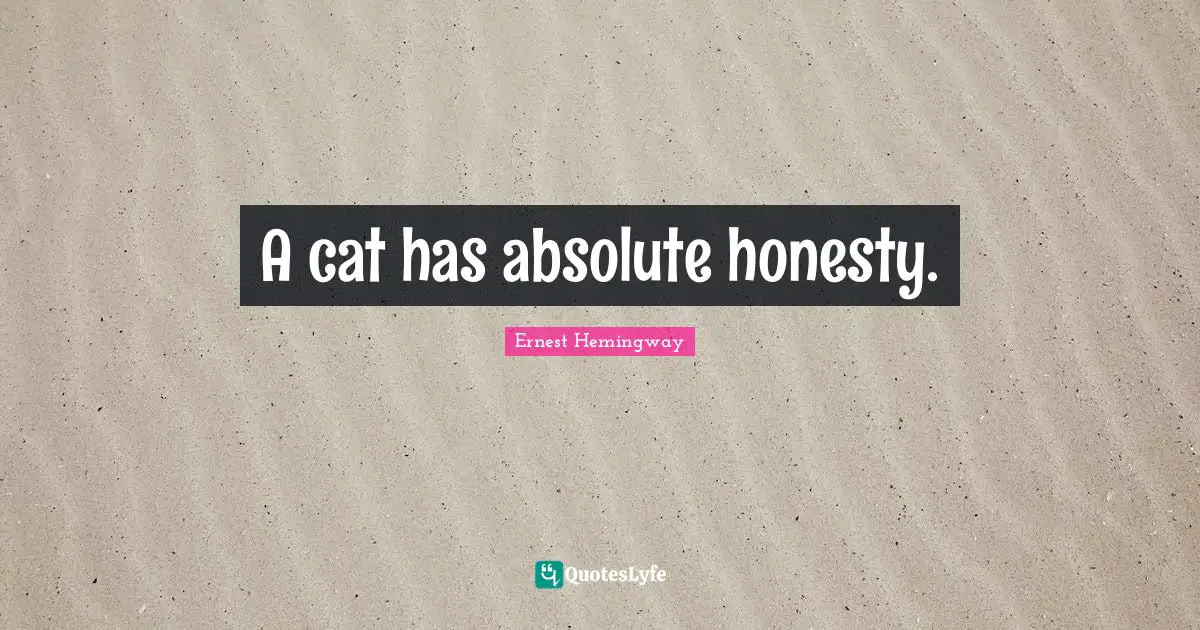 A cat has absolute honesty.