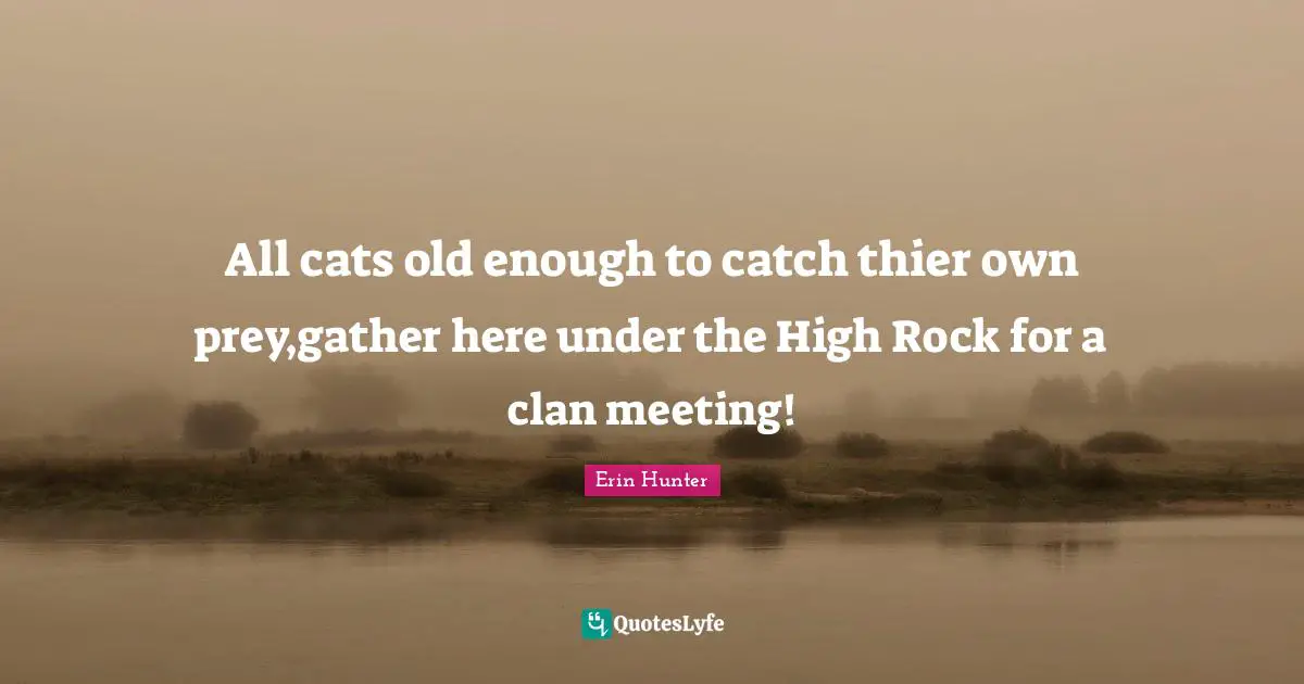 All cats old enough to catch thier own prey,gather here under the High Rock for a clan meeting!