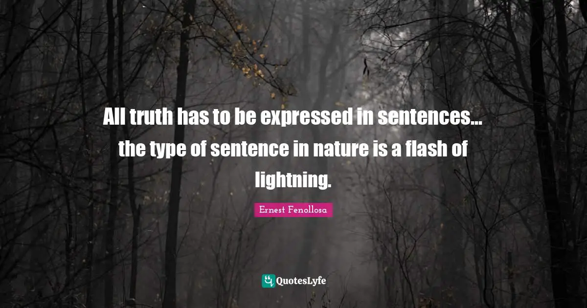 All truth has to be expressed in sentences... the type of sentence in nature is a flash of lightning.