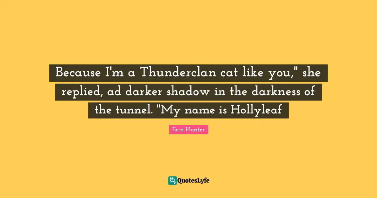 Because I'm a Thunderclan cat like you," she replied, ad darker shadow in the darkness of the tunnel. "My name is Hollyleaf