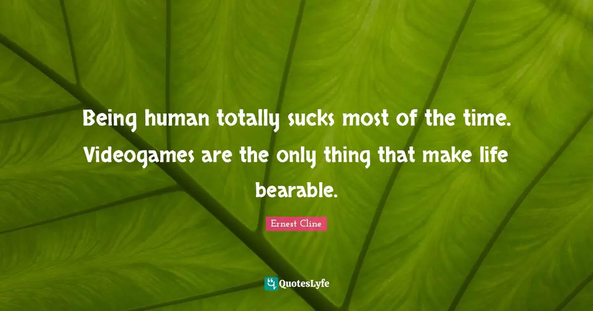 Being human totally sucks most of the time. Videogames are the only thing that make life bearable.