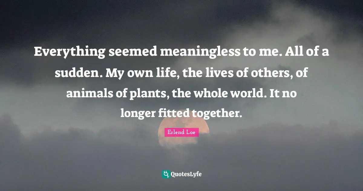 Everything seemed meaningless to me. All of a sudden. My own life, the lives of others, of animals of plants, the whole world. It no longer fitted together.
