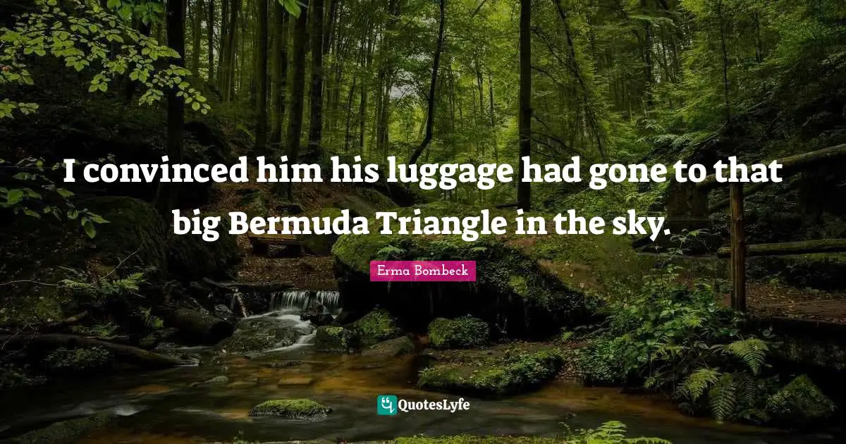 Luggage Quotes: "I convinced him his luggage had gone to that big Bermuda Triangle in the sky."