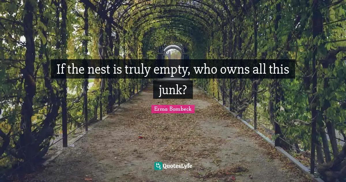 If the nest is truly empty, who owns all this junk?