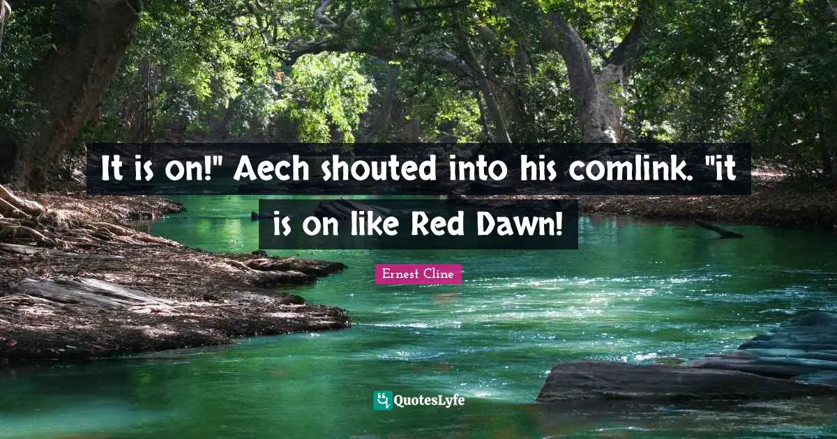 It is on!" Aech shouted into his comlink. "it is on like Red Dawn!