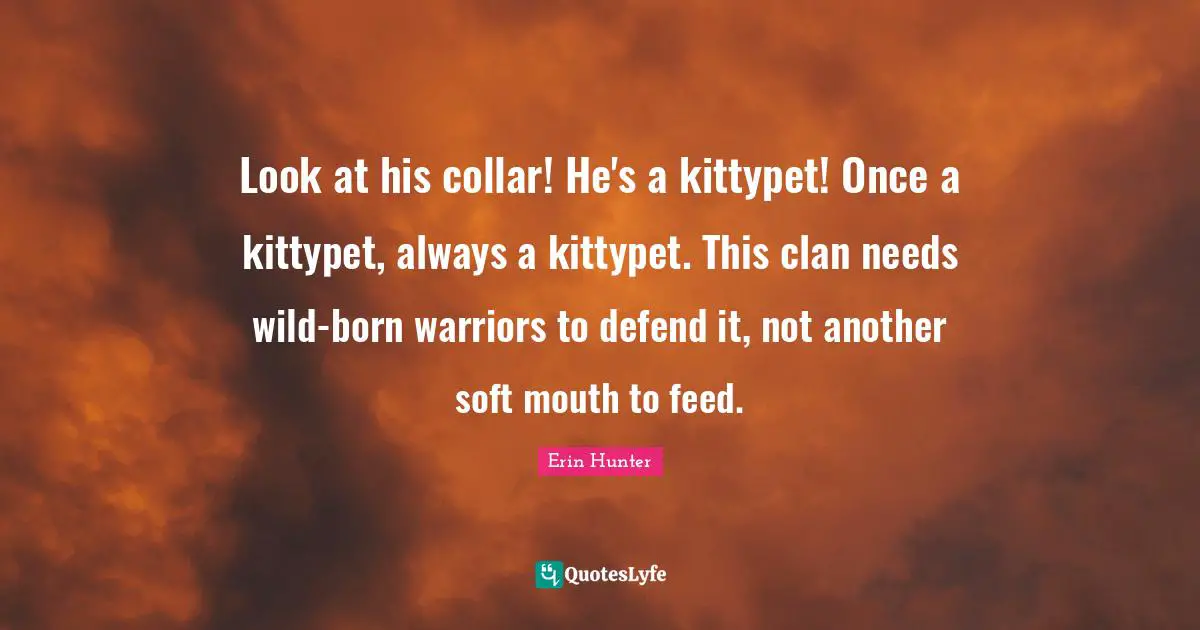 Look at his collar! He's a kittypet! Once a kittypet, always a kittypet. This clan needs wild-born warriors to defend it, not another soft mouth to feed.