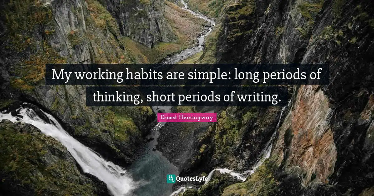 My working habits are simple: long periods of thinking, short periods of writing.