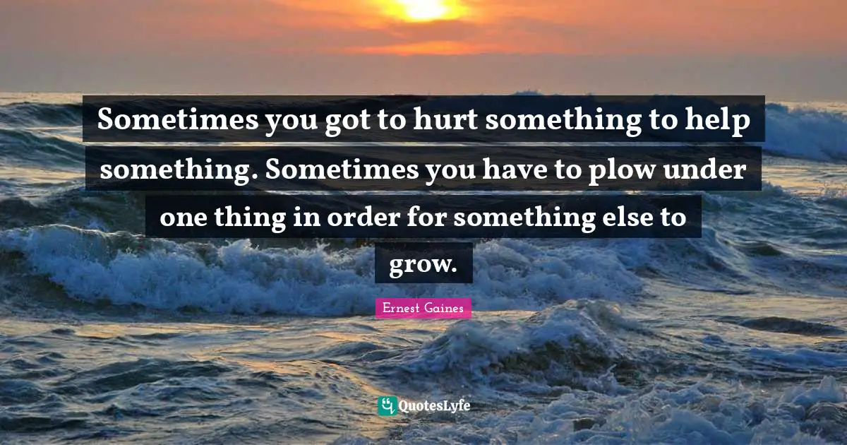 Sometimes you got to hurt something to help something. Sometimes you have to plow under one thing in order for something else to grow.
