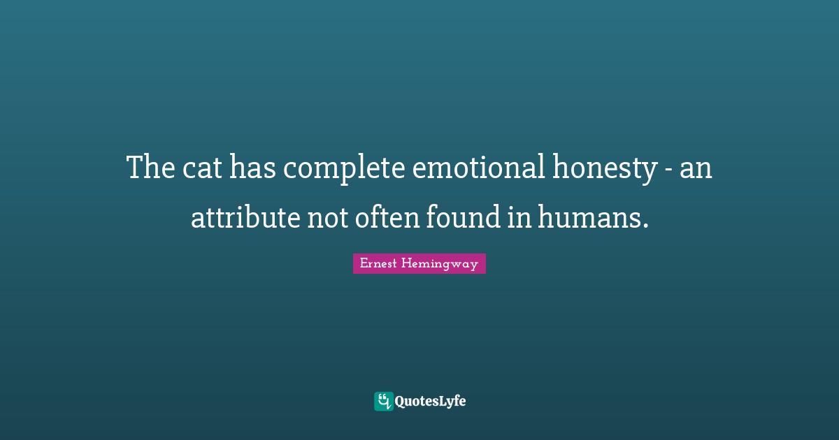 The cat has complete emotional honesty - an attribute not often found in humans.