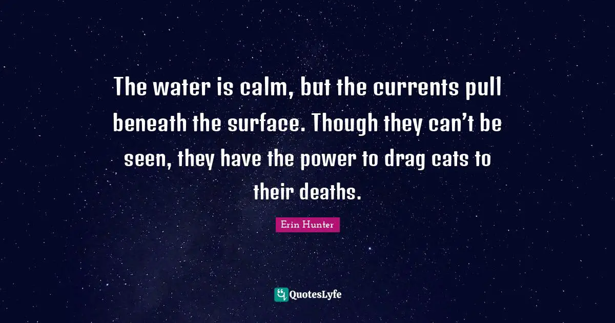 The water is calm, but the currents pull beneath the surface. Though they can’t be seen, they have the power to drag cats to their deaths.