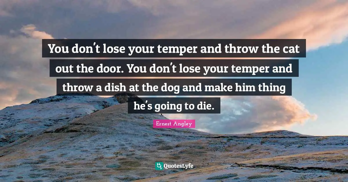 Ernest Angley Quotes: "You don't lose your temper and throw the cat out the door. You don't lose your temper and throw a dish at the dog and make him thing he's going to die."