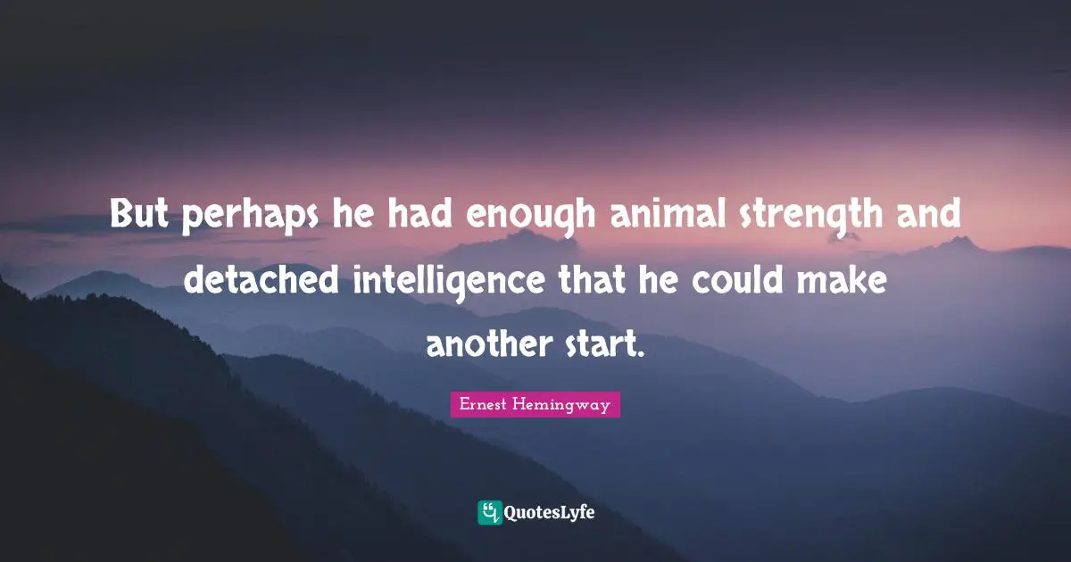 But perhaps he had enough animal strength and detached intelligence that he could make another start.